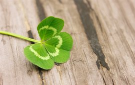 博主精品——一个最简单的增删改查（正统SpringBoot实现，标准流程操作，优雅！）插图