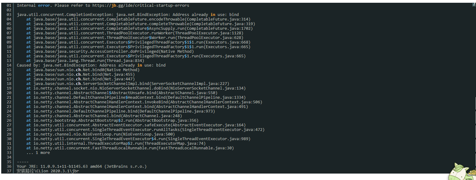 Internal error. Please refer to https://jb.gg/ide/critical-startup-errors 问题解决——IDEA插图1